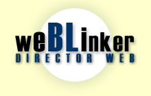 weBLinker - director web